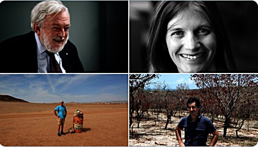 Quienes son los profesionales del Comité de Científico de Extreme E